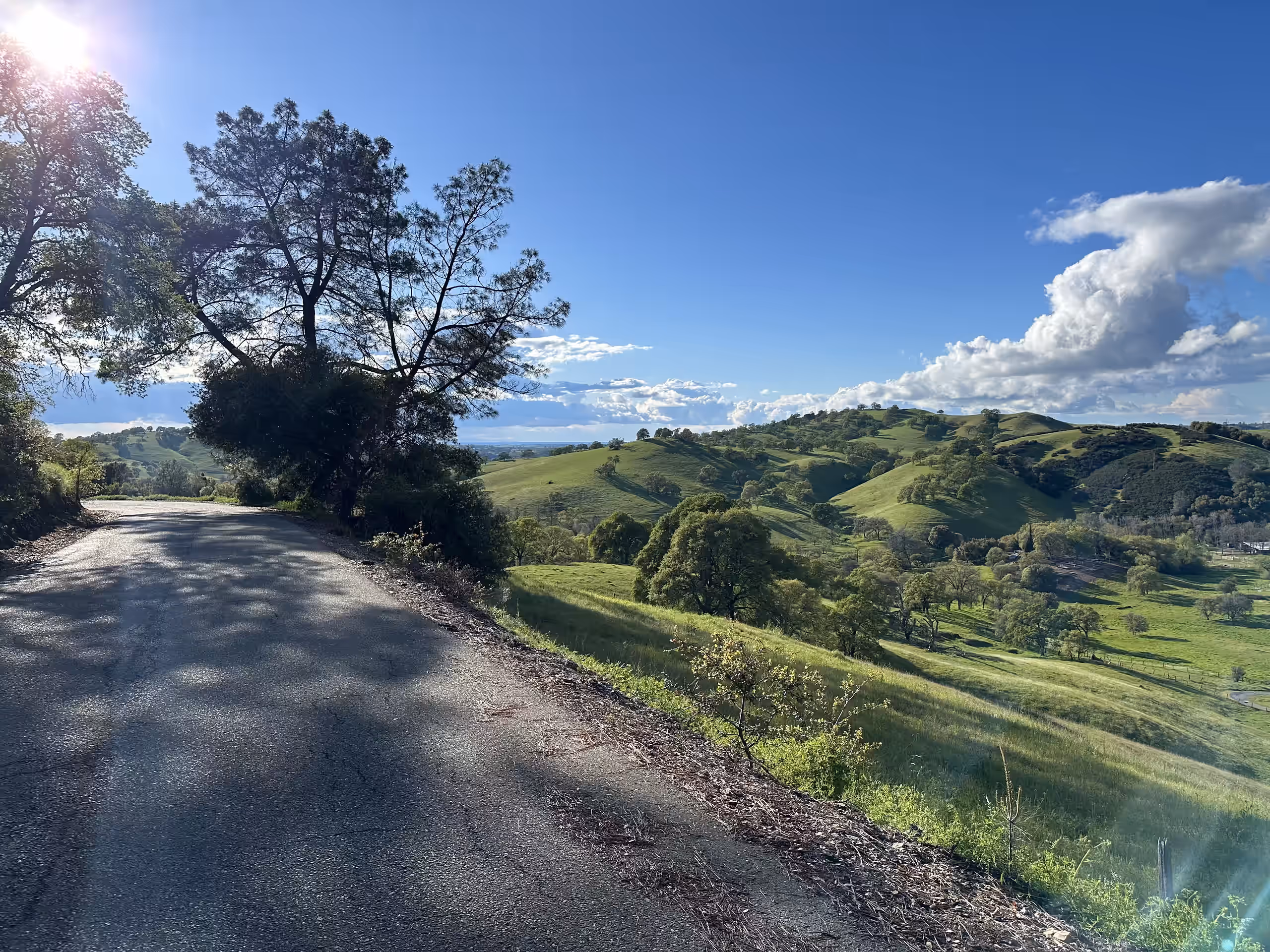 Green rolling hills of local Amador City, CA